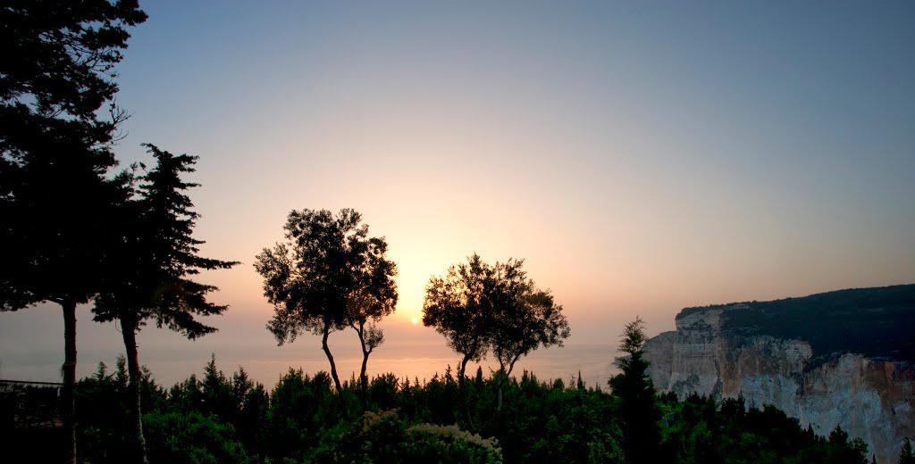 جايوس Averto Avali المظهر الخارجي الصورة